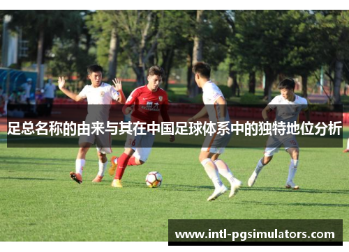足总名称的由来与其在中国足球体系中的独特地位分析