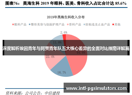 深度解析埃因青年与阿贾青年队五大核心差异的全面对比指南详解篇 深度解析埃因青年与阿贾青年队五大核心差异的全面对比指南详解篇