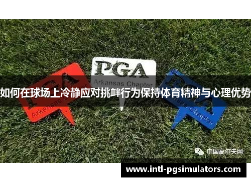 如何在球场上冷静应对挑衅行为保持体育精神与心理优势