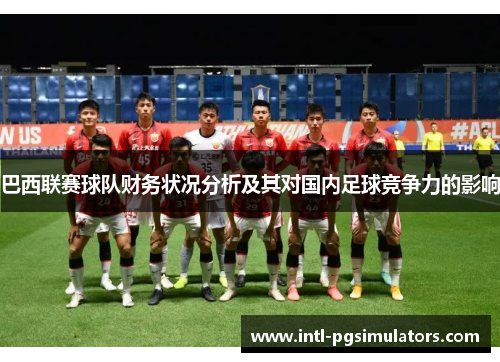 巴西联赛球队财务状况分析及其对国内足球竞争力的影响