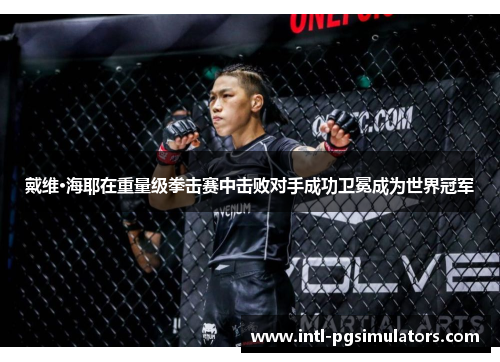 戴维·海耶在重量级拳击赛中击败对手成功卫冕成为世界冠军