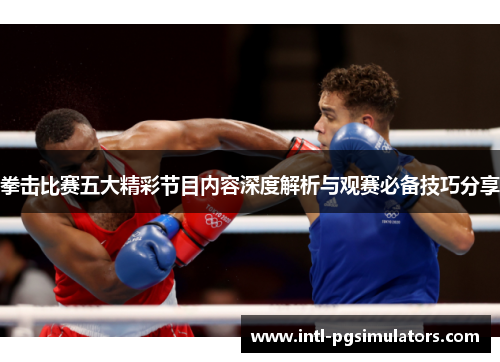 拳击比赛五大精彩节目内容深度解析与观赛必备技巧分享